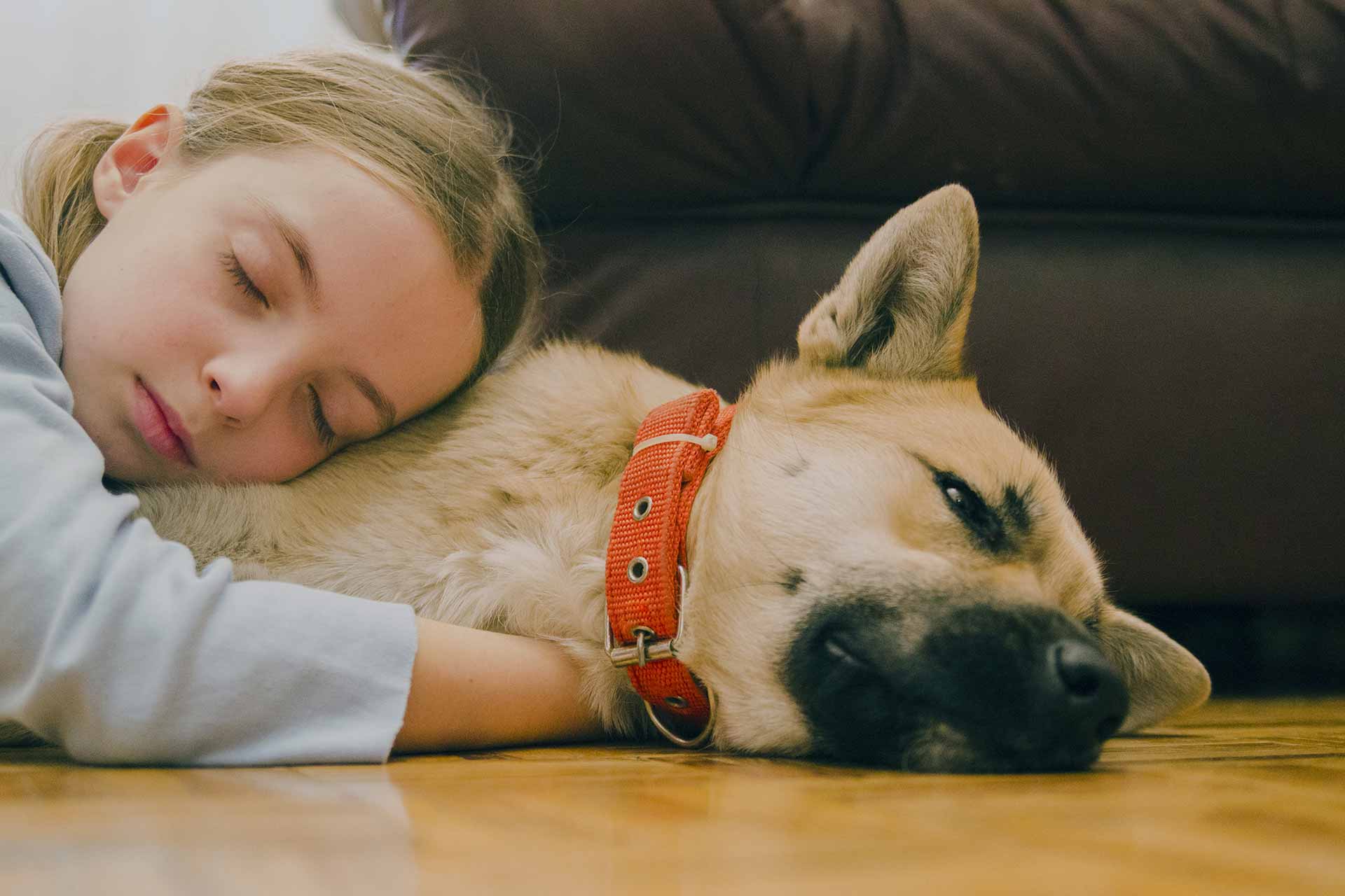 The-benefits-of-having-a-pet